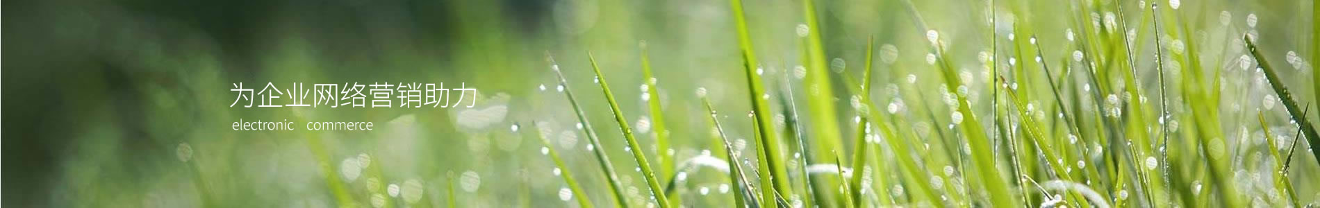 пƽƼ޹˾